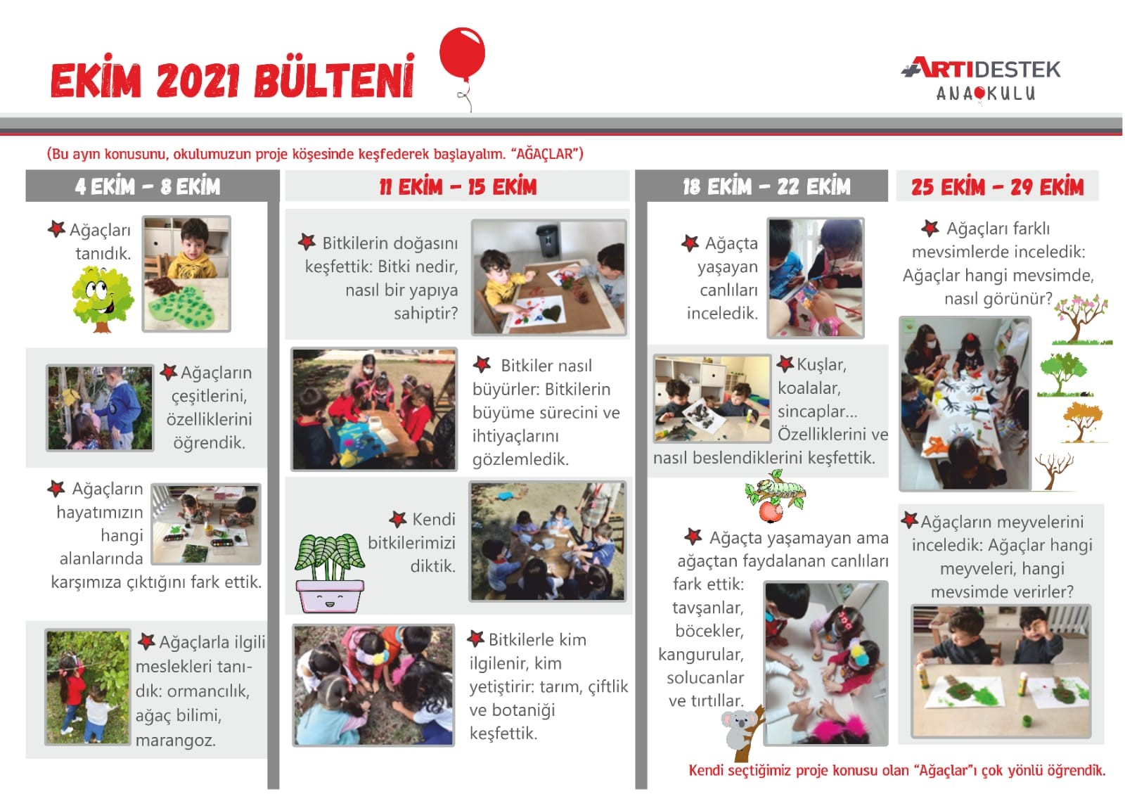 Ağaçları farklı mevsimlerde inceledik
