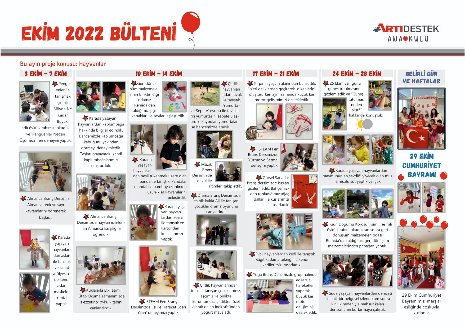 Ekim Ayı Bülteni